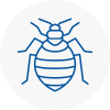 Bed Bug Extermination In North Shields